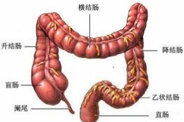 十二指肠炎的症状与类型有哪些